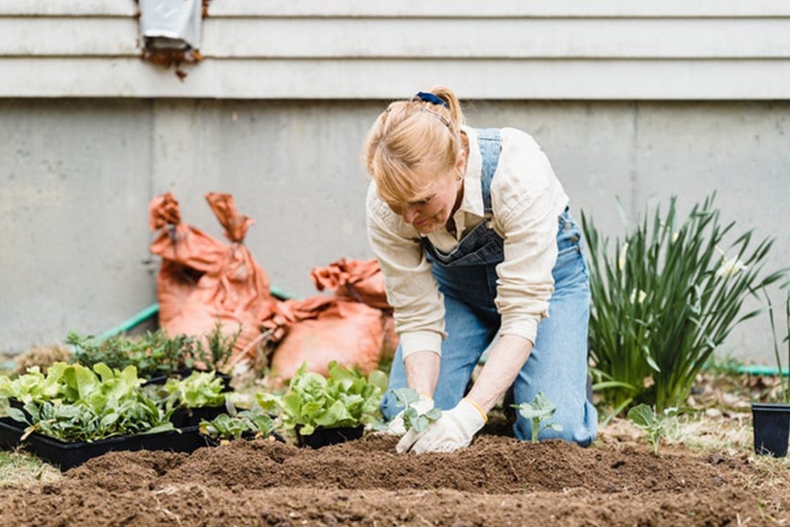 Vrouw aan het tuinieren 